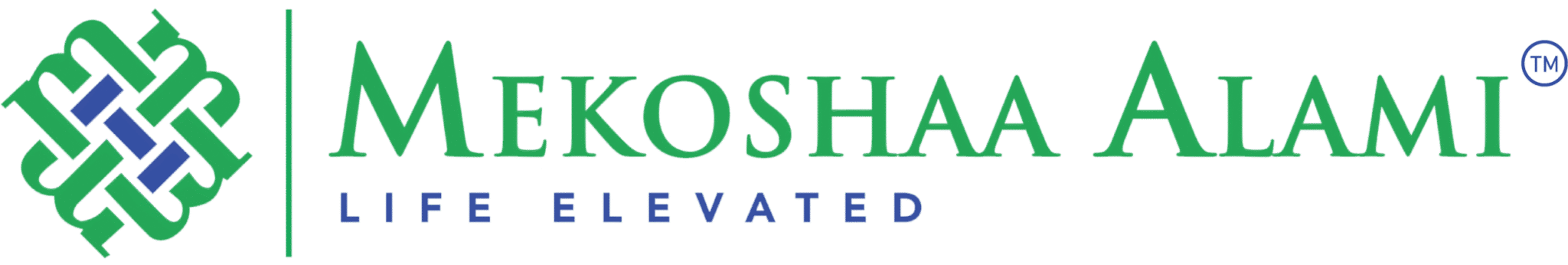 Страховой партнер MEKOSHAA