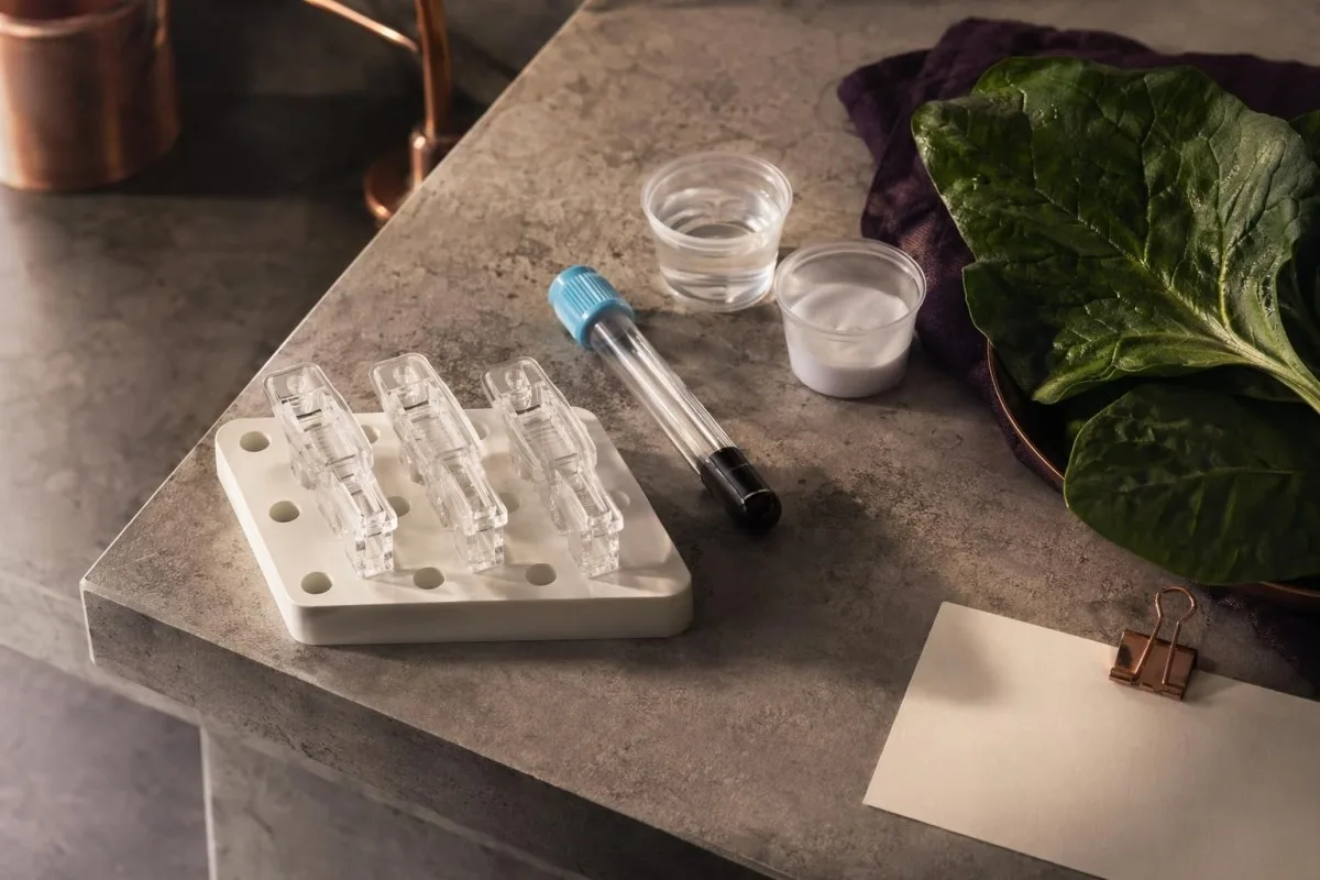 hücresel bileşenlerde gösterilen E vitamini zar koruması olan yağda çözünen vitaminler