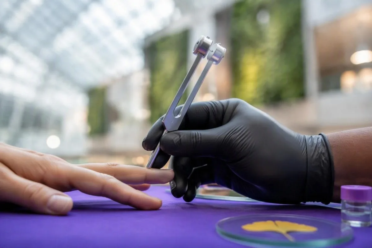 Hraničný význam vitamínu B12 zobrazený prostredníctvom podrobnej ilustrácie transportného proteínu aktívneho B12